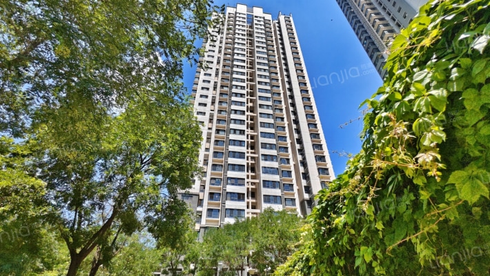 沽上江南外景图