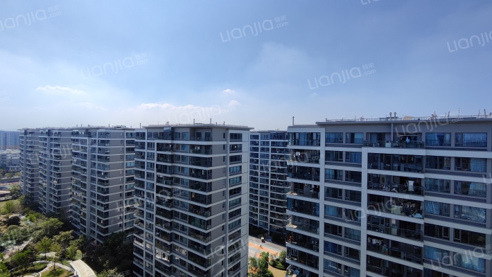 中南春溪集外景图