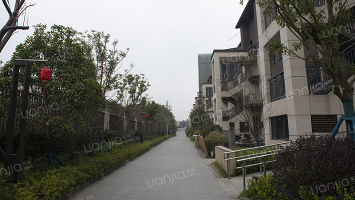 卓越青竹湖外景图