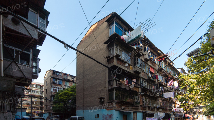 洲头社区外景图