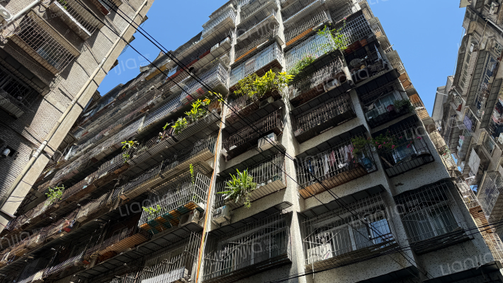 太白岩146号外景图