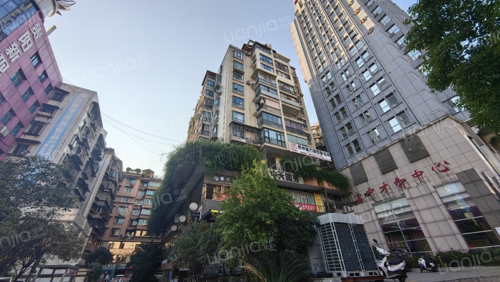 海发紫林苑外景图