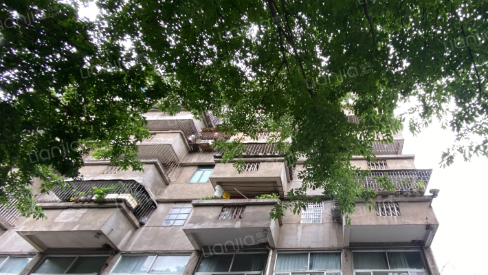 太平中路外景图