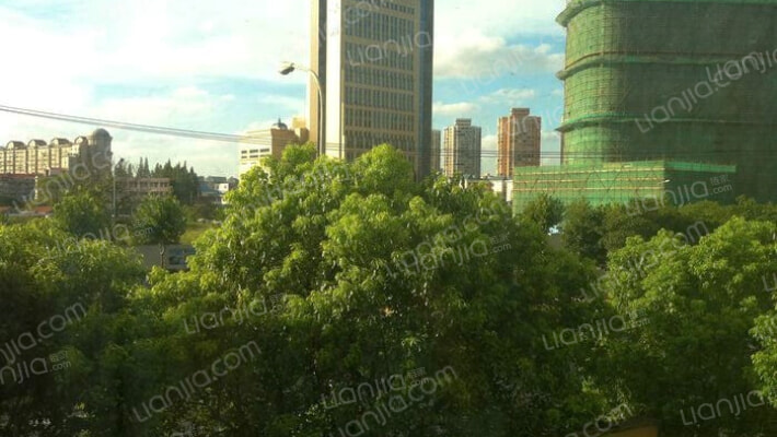 张杨花苑外景图