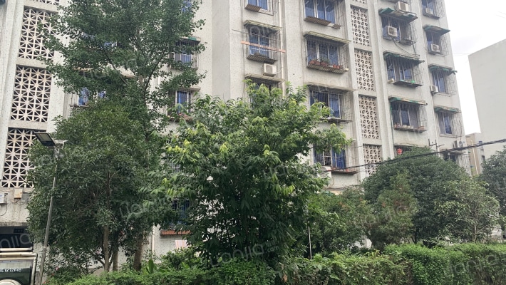 东湖园丁苑外景图