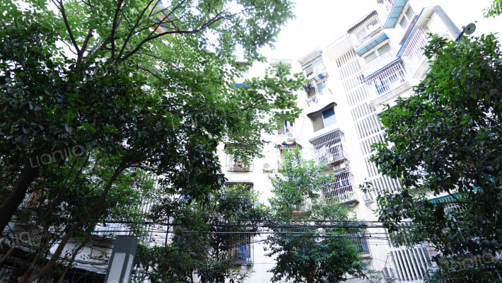 石人南路35号外景图