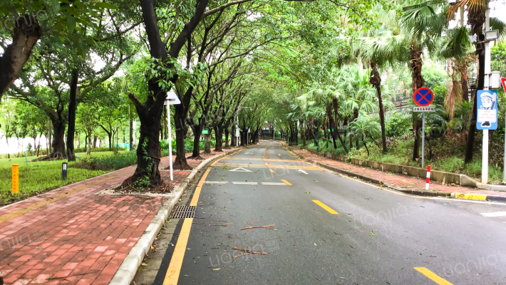 香格里拉花园外景图