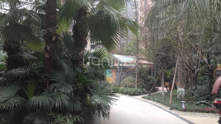 鹭岛国际三期外景图