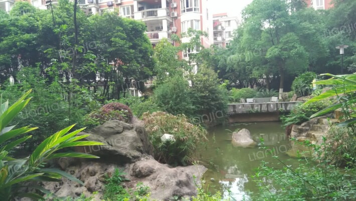 缙水楼台外景图