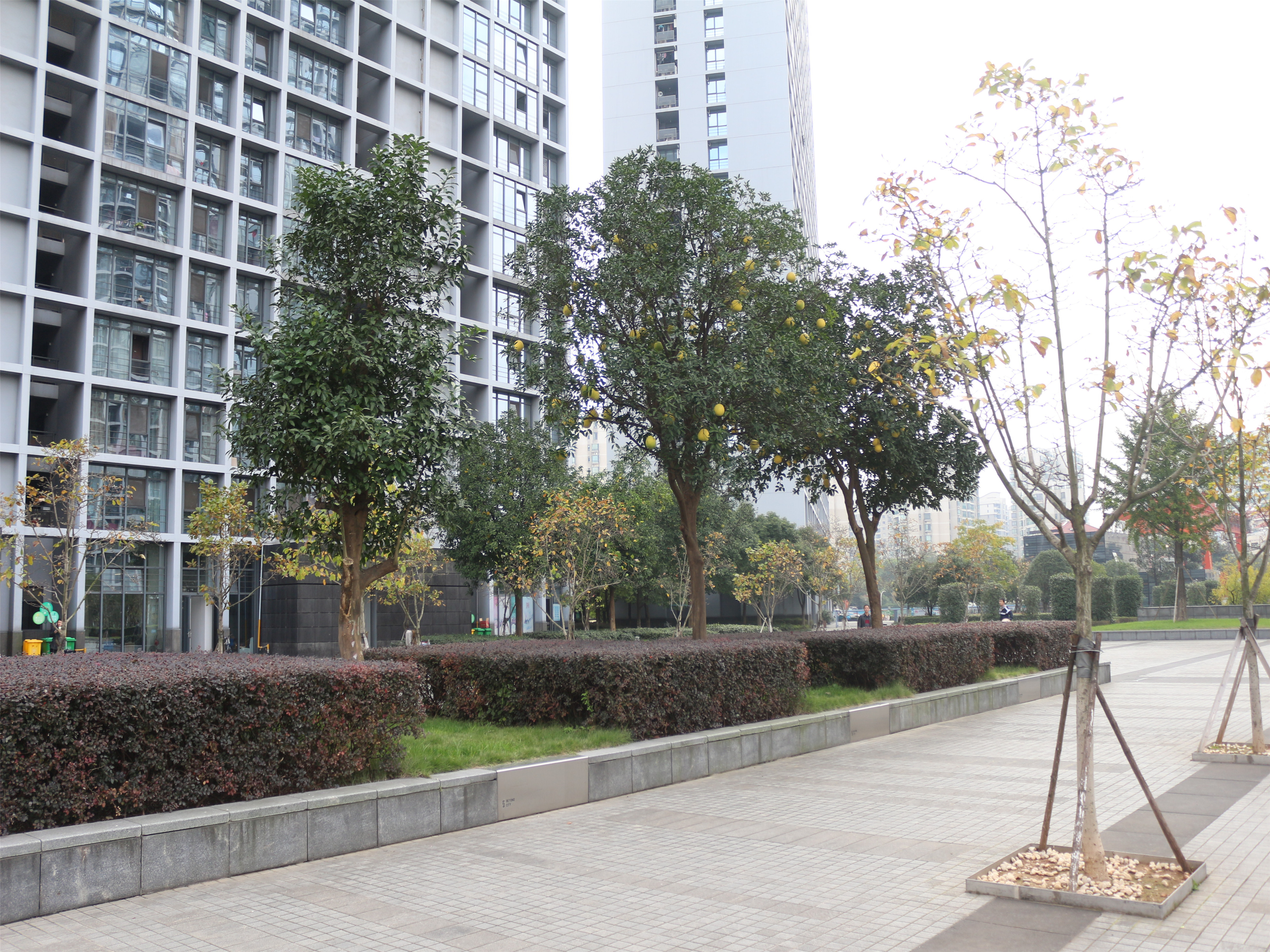 Beyond City compound photo 16