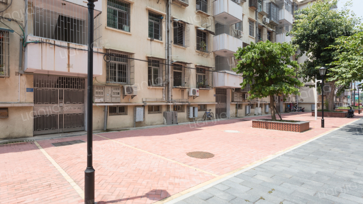 莲前西路外景图