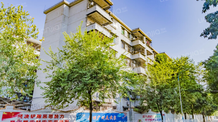 环湖路外景图