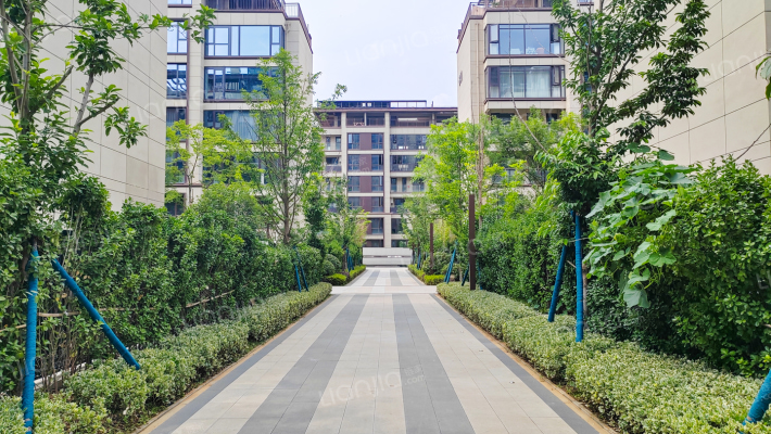 中粮光谷祥云B区外景图