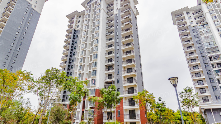 金山水城四区外景图