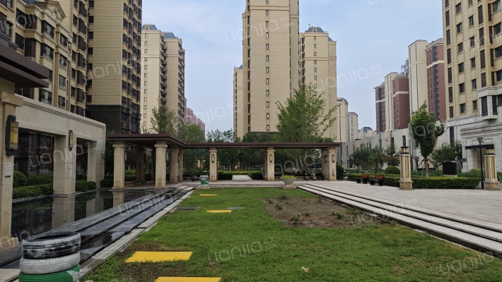 大唐印象比松花园外景图