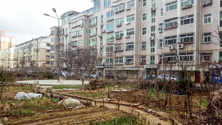 技校家属院外景图