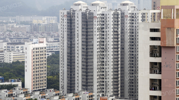 景龙大厦外景图