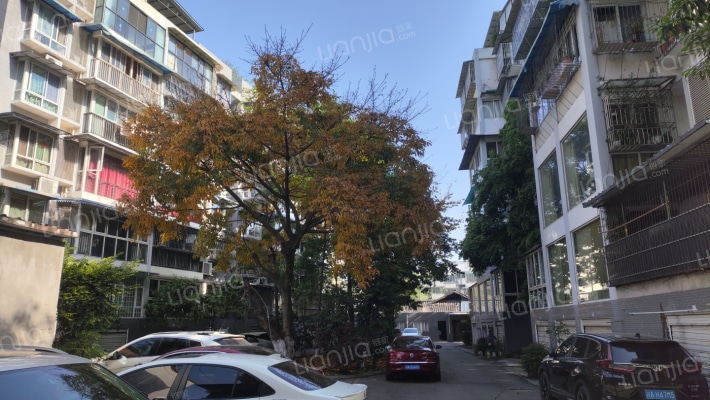 时代春天外景图