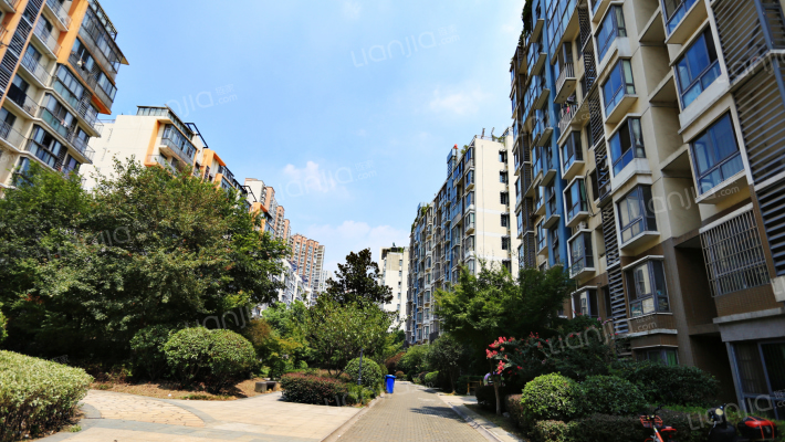 金色江南集景花园外景图