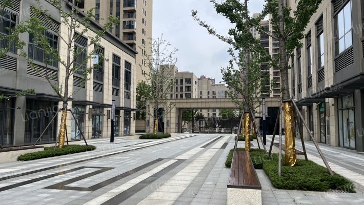 电建地产洺悦御府外景图