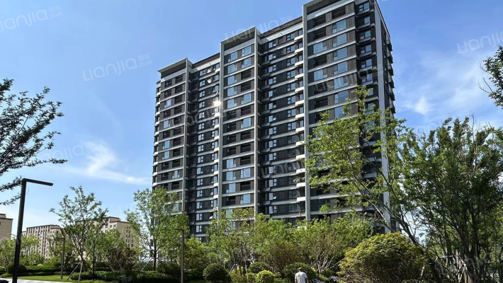 龙湖春江天玺A区外景图