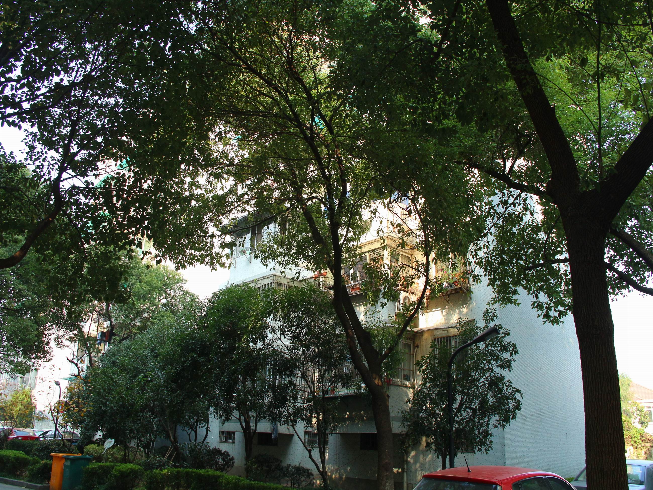Nandu Garden compound photo 48