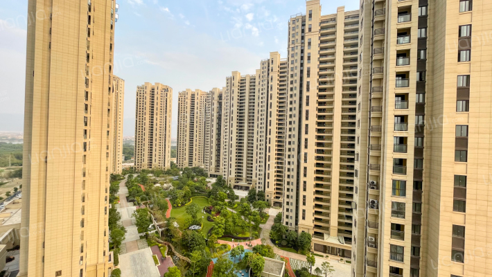 阳光城丽景湾外景图