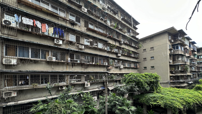 文庙西街31号外景图