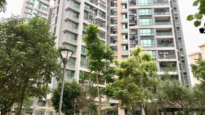 世纪名城二期外景图