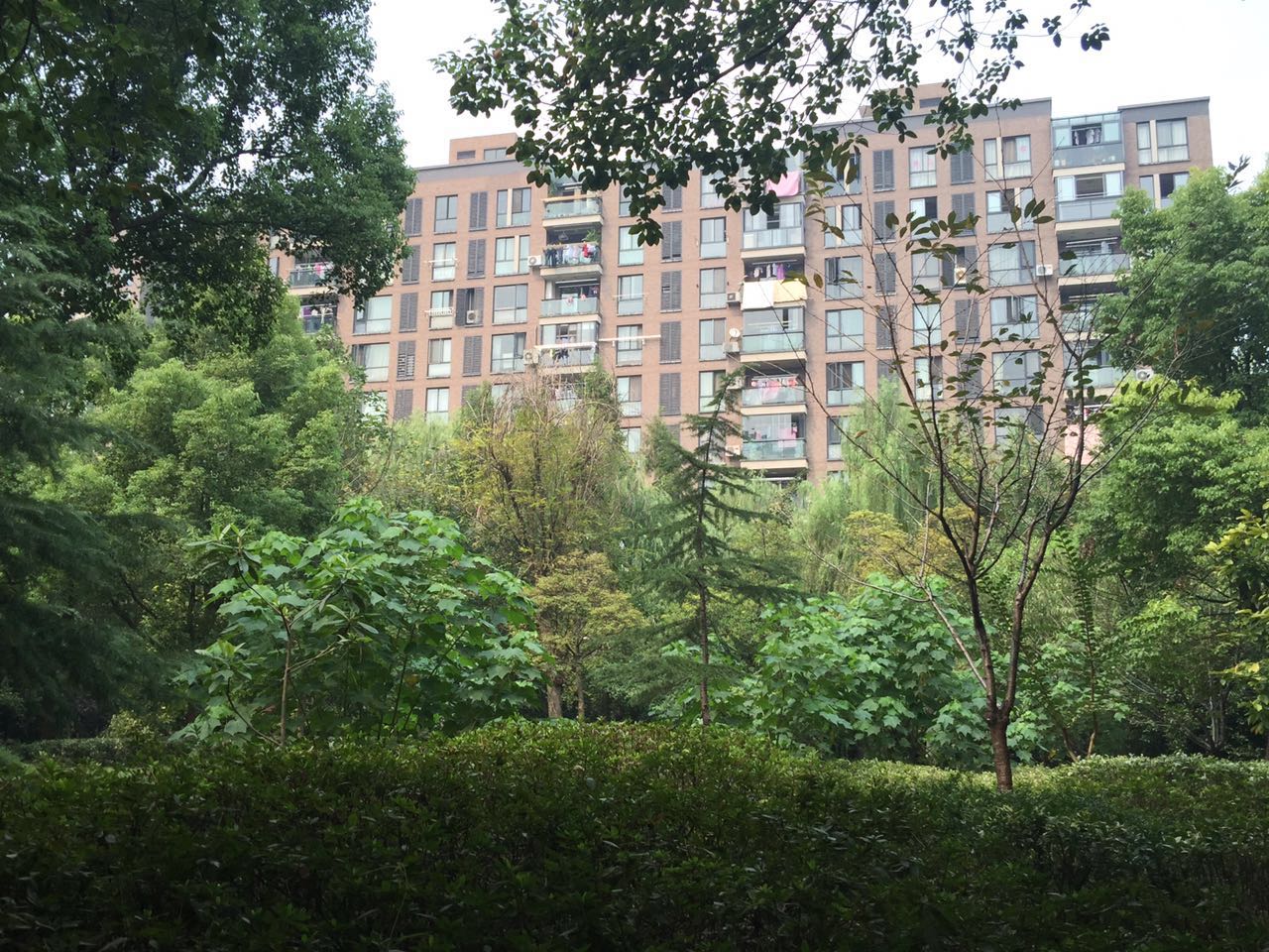 New Century City compound photo 25
