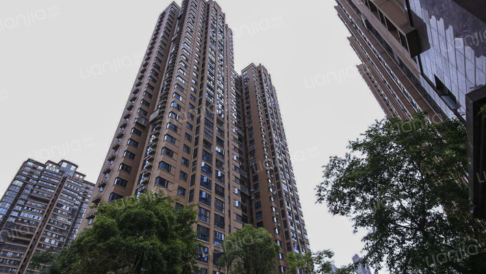 武广美誉外景图