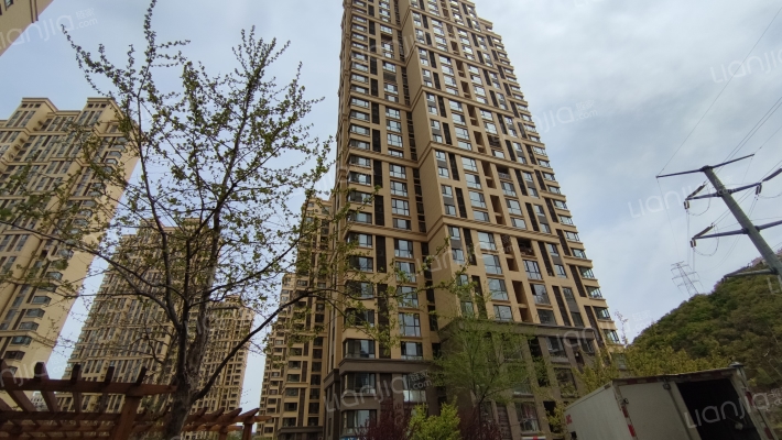 大华爱琴湾外景图