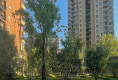 华地森林语户型图实景图