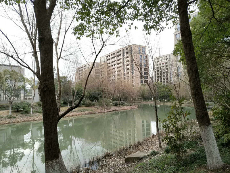 西溪诚园小区实景 14