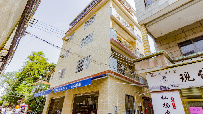 红棉东路外景图