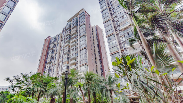 棕榈四季外景图