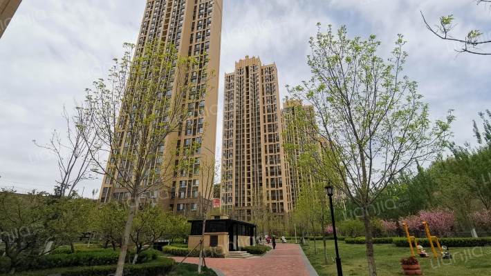 大华锦绣华城八期外景图