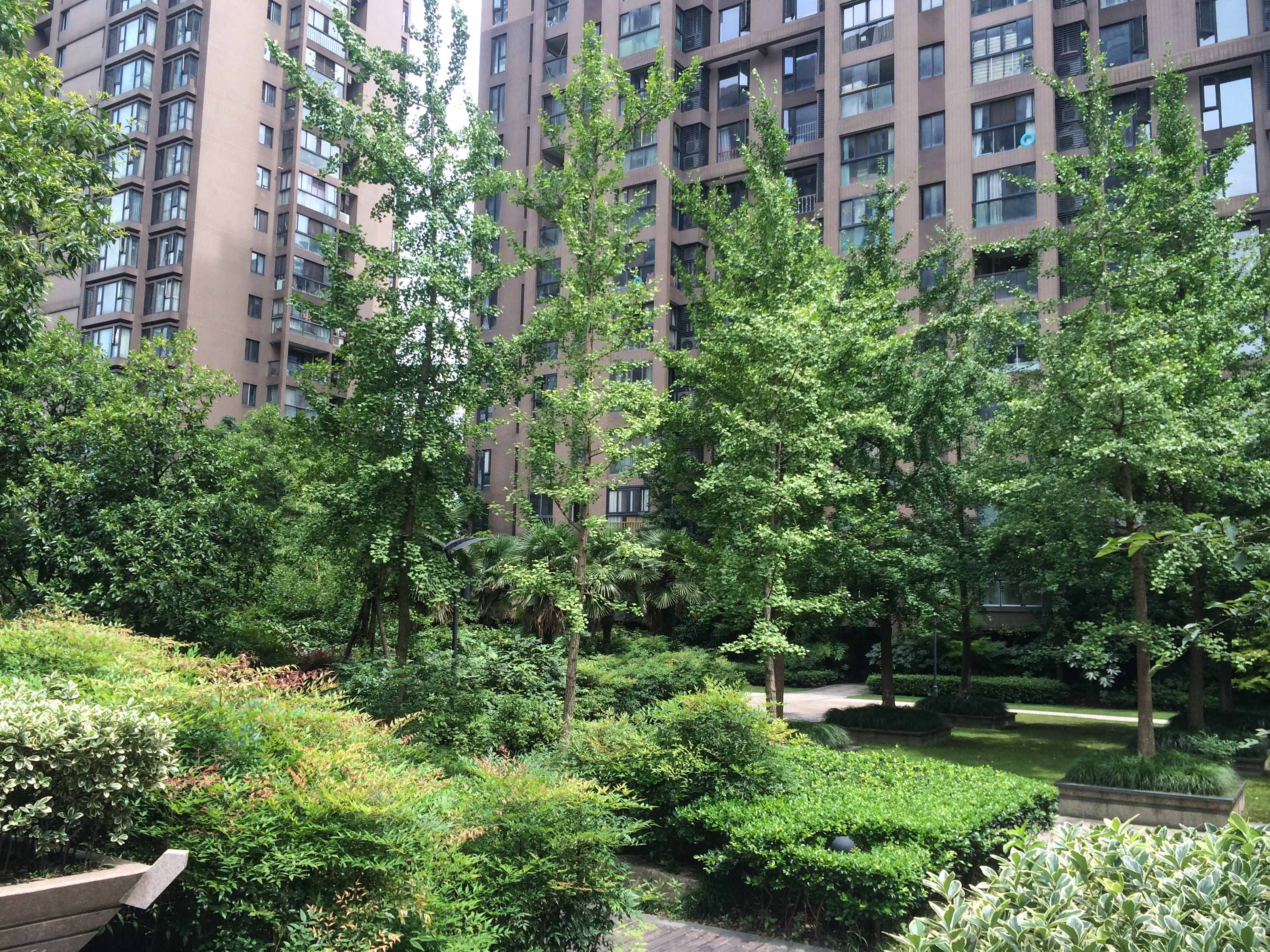 瑞立中央花城小区实景 6