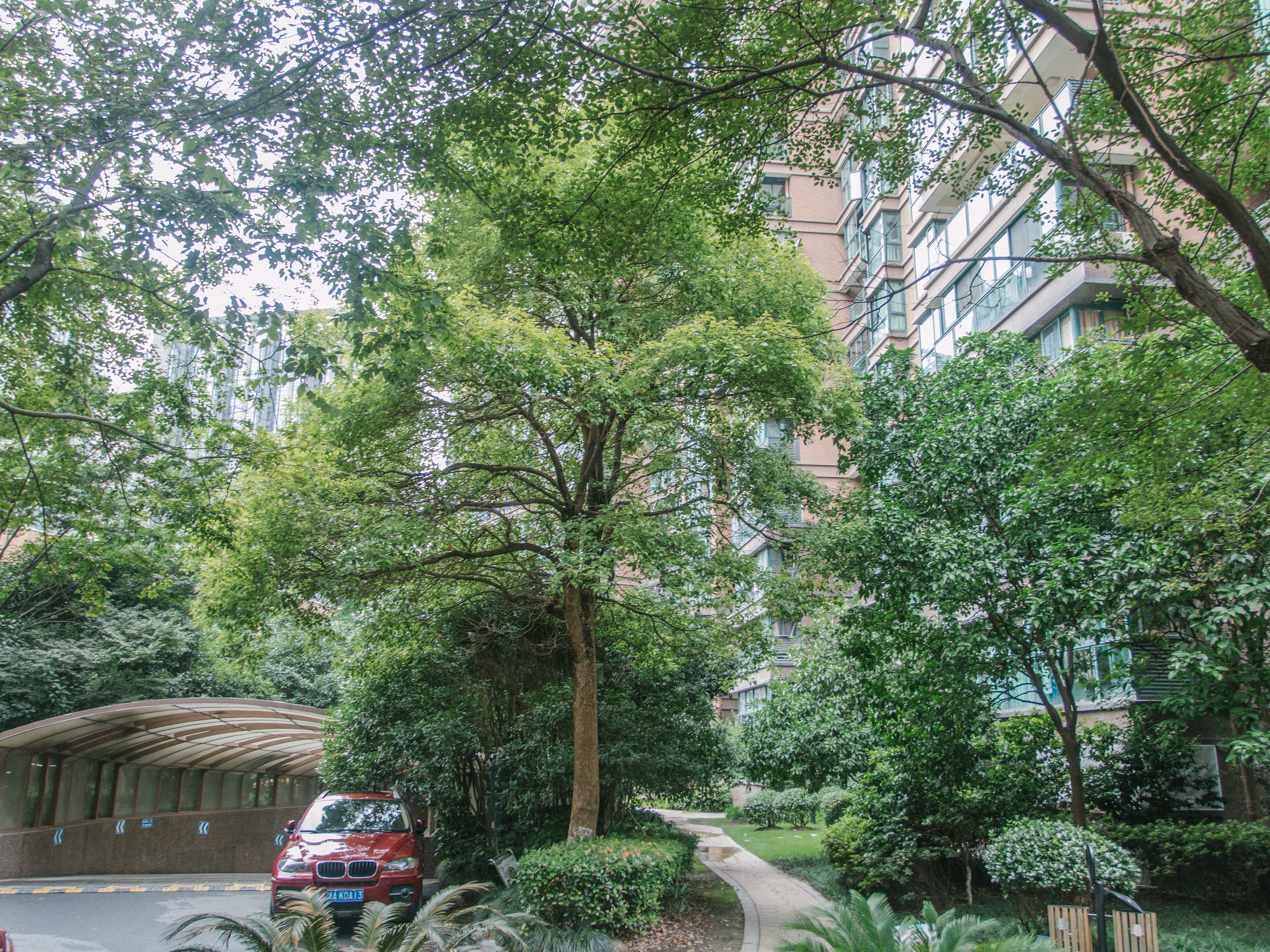 绿洲花园小区实景 25