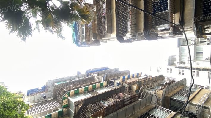 成科路1号附25号外景图