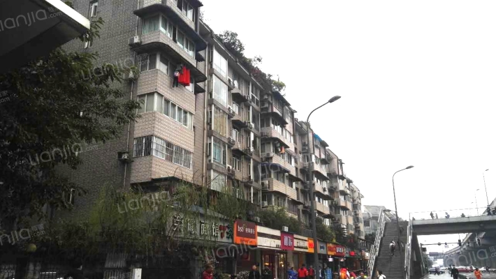 竹韵菁华外景图