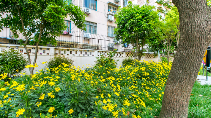 泾栖小区外景图