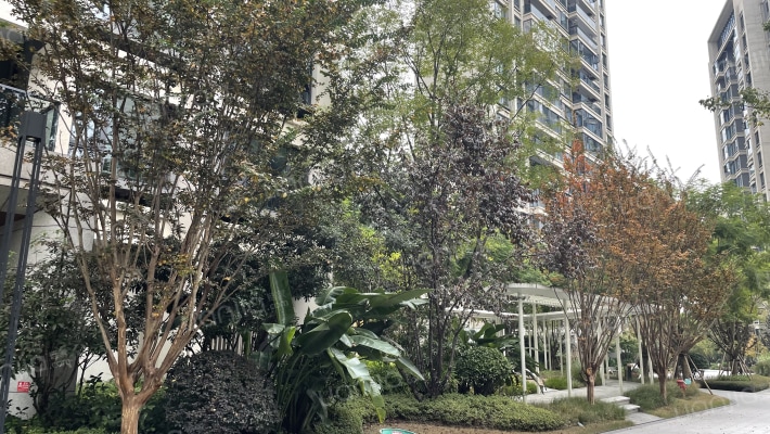 观澜东著外景图