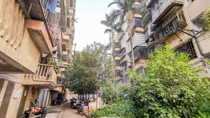 省稻麦所宿舍外景图