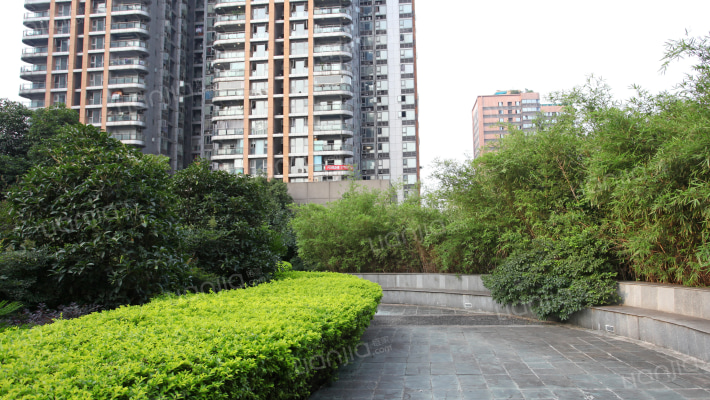 红鼎国际名苑外景图