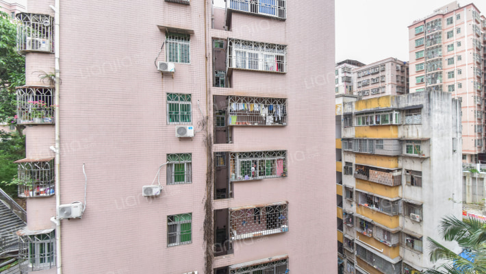 吉星花园外景图