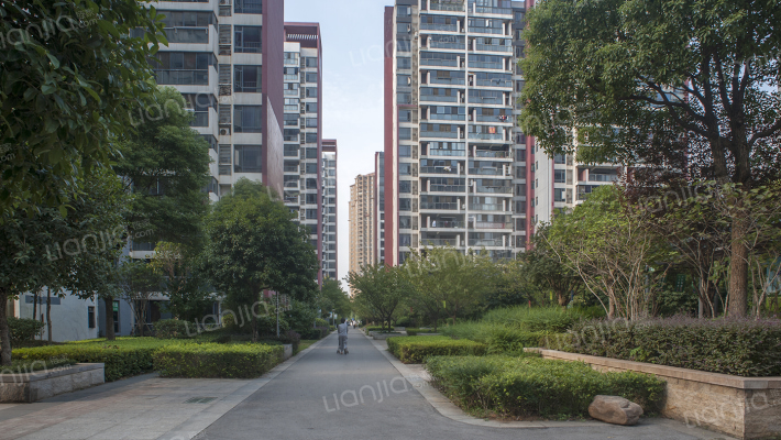 珠江花城二期外景图