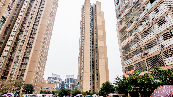 南河丽景D区外景图