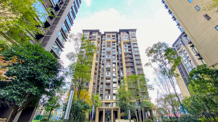 黛山道8号外景图