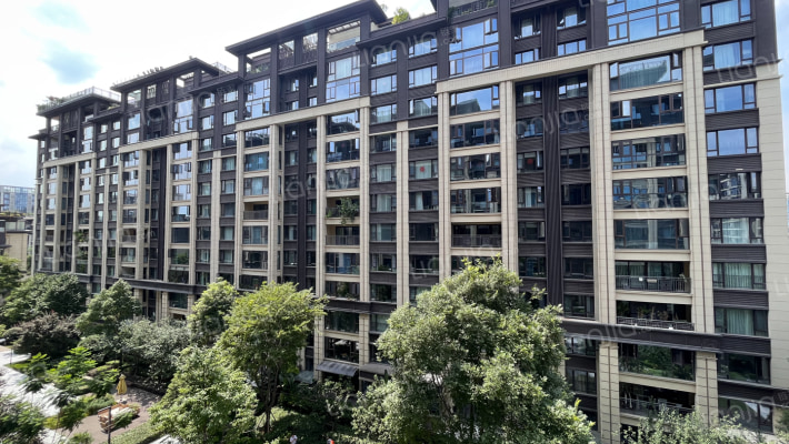 龙湖天宸原著外景图